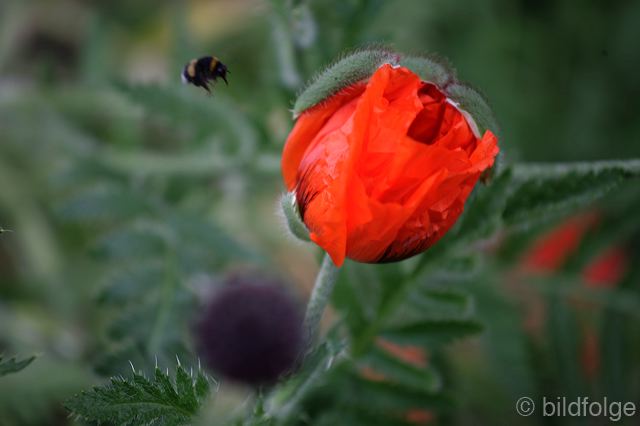 _mg_9901.jpg