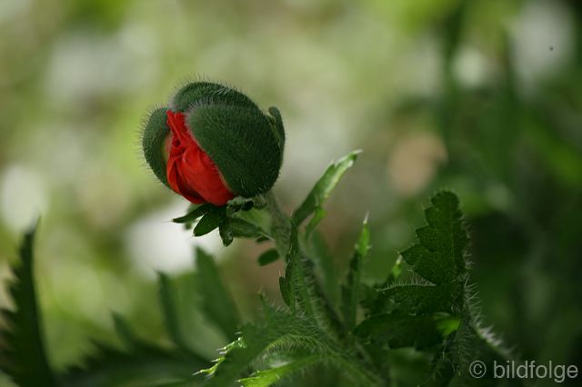 _mg_9922.jpg