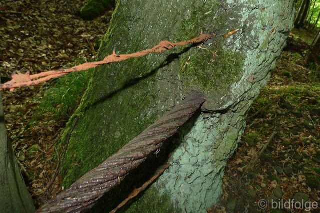 l1030649.jpg