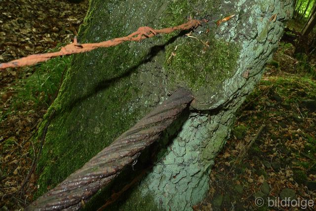 l1030650.jpg