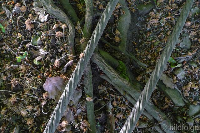 l1030655.jpg