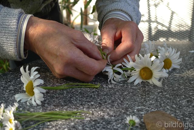 l1030826.jpg
