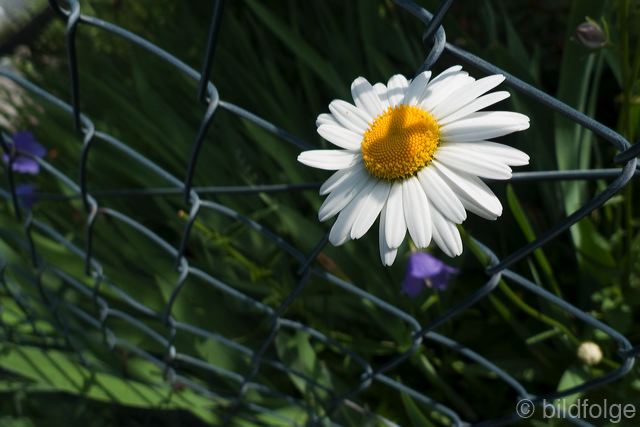 l1040239.jpg