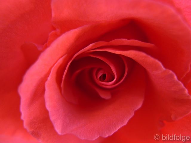 l1040298.jpg