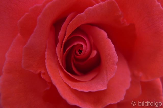 l1040302.jpg