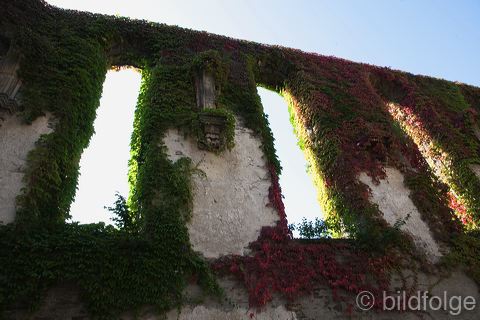 _mg_4778.jpg