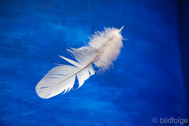 _mg_2208.jpg